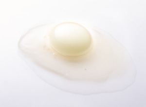 不思議な「白い卵」